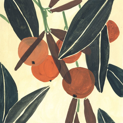 Picture of KUMQUAT II