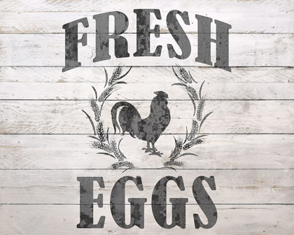 Picture of FRESH EGGS