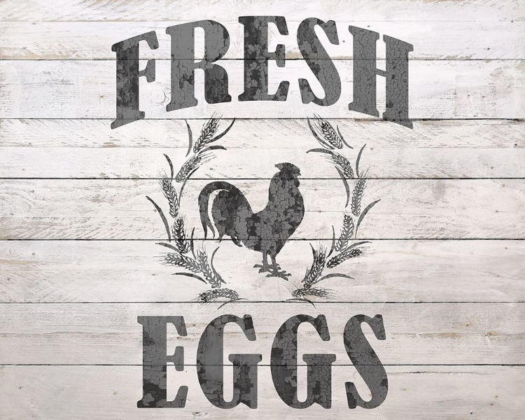 Picture of FRESH EGGS