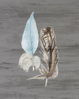 Picture of FEATHERS 1