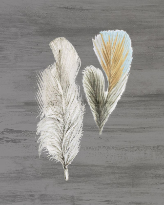 Picture of FEATHERS 2