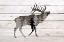 Picture of INTO THE FOREST 2