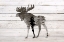 Picture of INTO THE FOREST 3