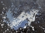 Picture of WHITE AND BLUE