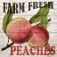 Picture of FRESH PICKED PEACHES