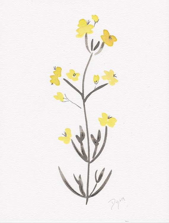 Picture of WILDFLOWER ORGANICS VI