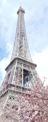 Picture of PARIS IN BLOOM 1
