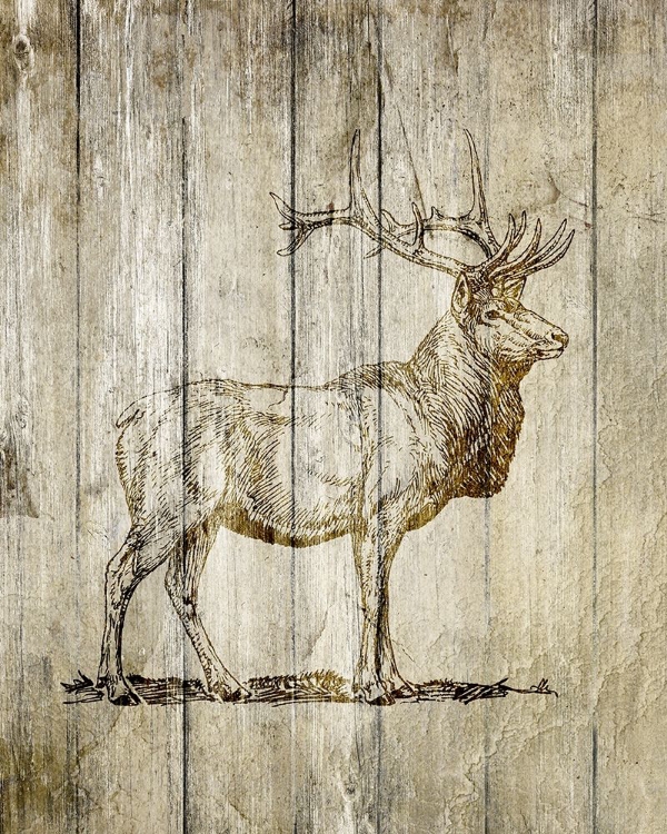 Picture of STANDING ELK