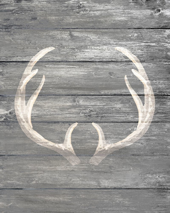 Picture of RACK 1