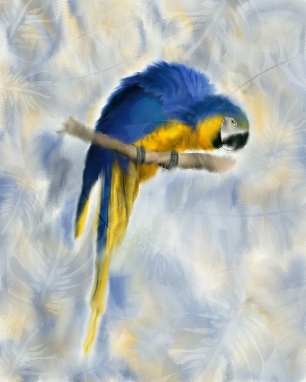 Picture of PARROT 1
