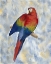 Picture of PARROT 2