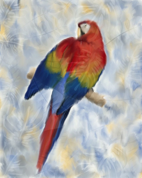 Picture of PARROT 2