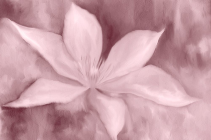 Picture of BLUSH PETALS