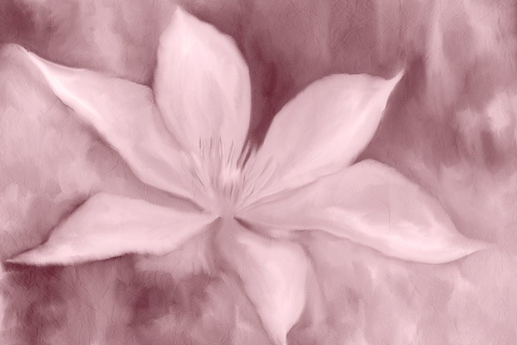 Picture of BLUSH PETALS