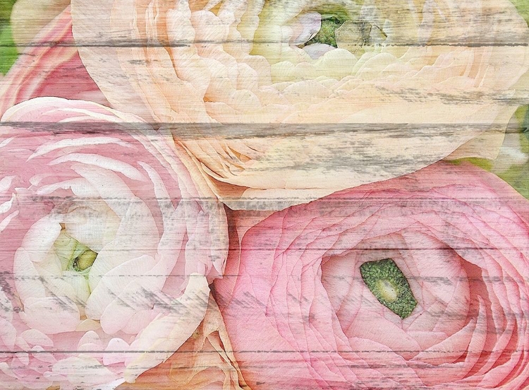 Picture of PASTEL THREE