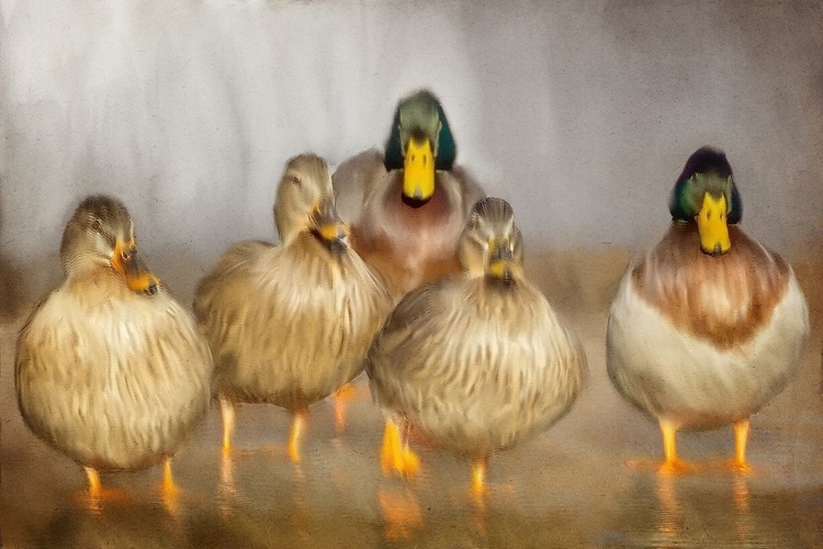 Picture of THE WHOLE FAMILY