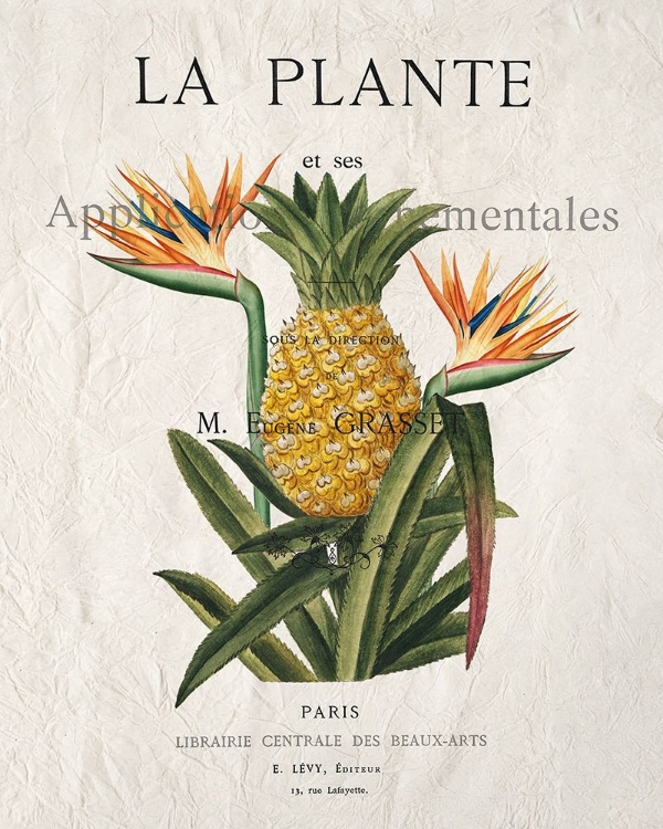 Picture of LA PLANTE