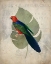 Picture of PARROT 2