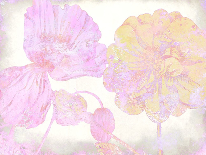 Picture of COLORFUL SPRING 5