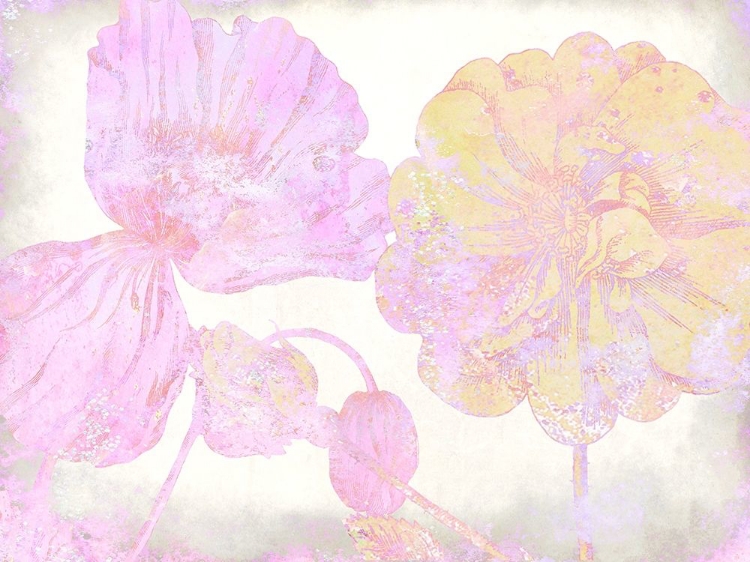 Picture of COLORFUL SPRING 5
