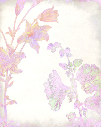 Picture of COLORFUL SPRING 7