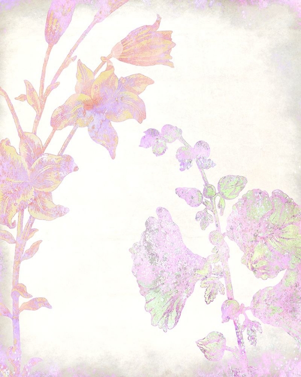 Picture of COLORFUL SPRING 7