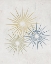 Picture of BURST 2