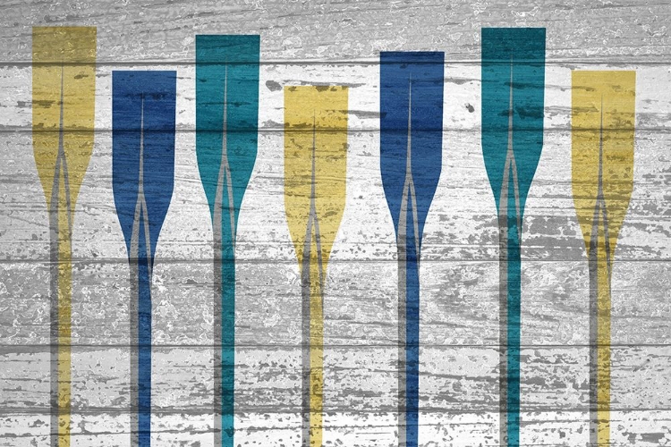 Picture of PADDLES