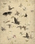 Picture of BUTTERFLIES IN FLIGHT 1
