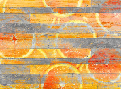 Picture of ORANGE SLICE