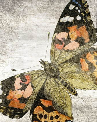 Picture of VINTAGE BUTTERFLY 2