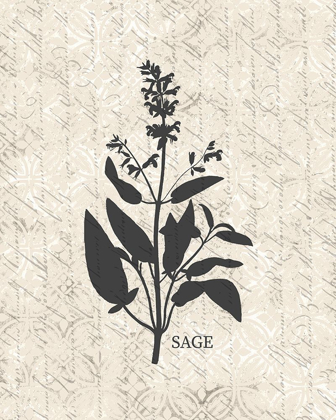 Picture of FRESH SAGE