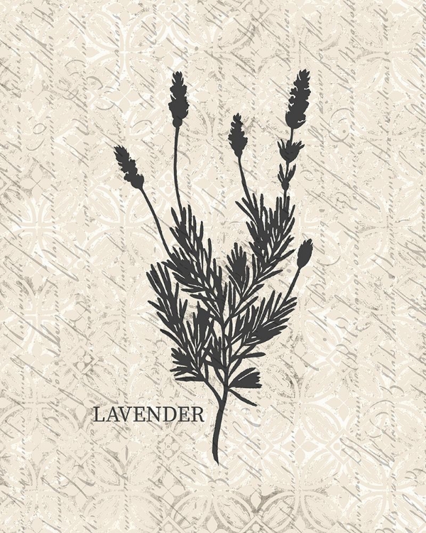 Picture of FRESH LAVENDER
