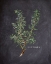 Picture of BLACKBOARD HERBS 2