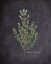 Picture of BLACKBOARD HERBS 3