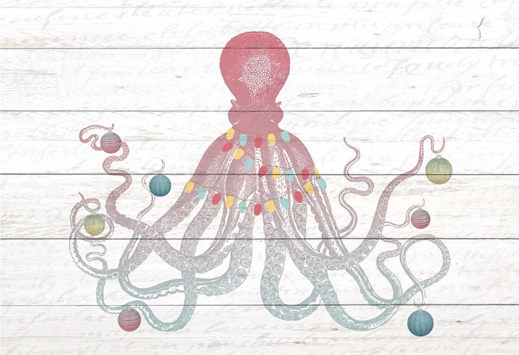 Picture of CHRISTMAS OCTOPUS