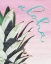 Picture of ALOHA