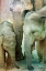 Picture of ELEPHANT FAMILY
