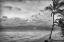 Picture of BEACH DAYS