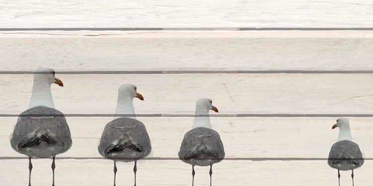 Picture of SEAGULLS ON WOOD