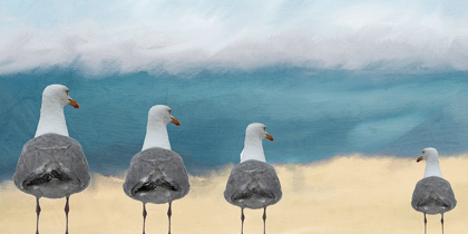Picture of SEAGULLS AT THE BEACH