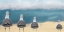 Picture of SEAGULLS AT THE BEACH