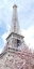 Picture of PARIS IN BLOOM 1