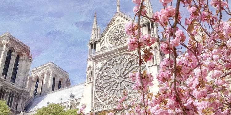 Picture of PARIS IN BLOOM 3