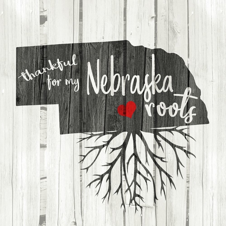 Picture of NEBRASKA ROOTS