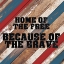Picture of BECAUSE OF THE BRAVE