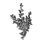 Picture of BOTANICAL BLACK 4
