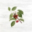 Picture of CHERRIES 3
