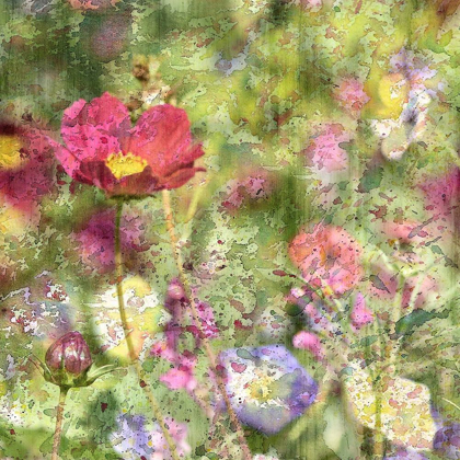 Picture of WILDFLOWER SQUARE 1
