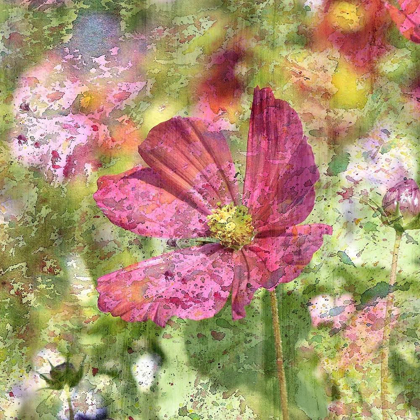 Picture of WILDFLOWER SQUARE 2